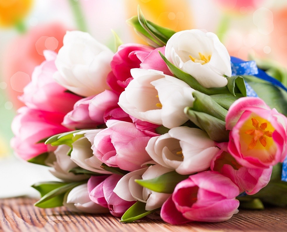 Зі святом весни!