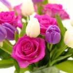 Привітання до міжнародного дня сімейного лікаря