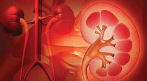 Чи існує закислення організму і що треба знати про лужну дієту