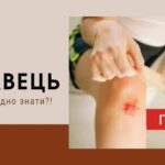 Правець: усе про смертельну "хворобу подряпин"