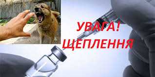 Кому потрібна профілактична вакцинація проти сказу?