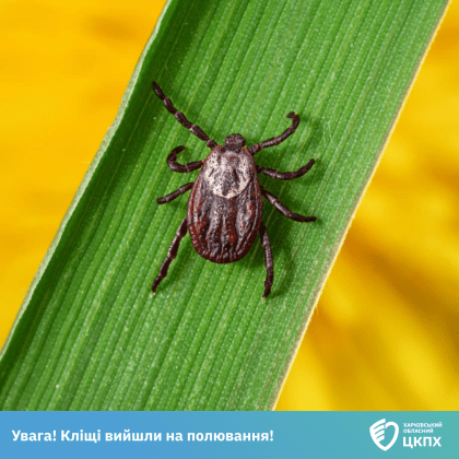 Увага! Кліщі вийшли на полювання!