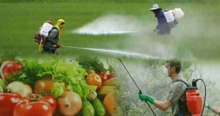 Пестициди – чи здатні вони нашкодити?