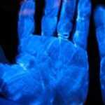 Біологічна дія ультрафіолету