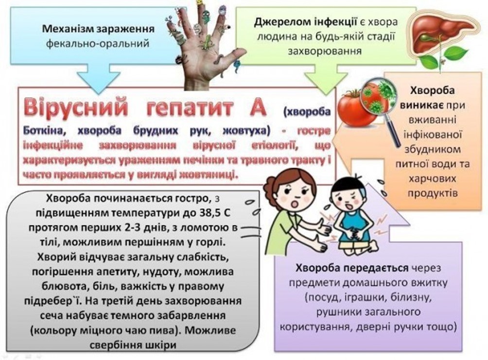 Шляхи передачі вірусного гепатиту В