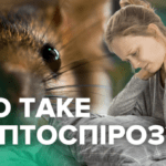 Лептоспіроз — небезпечна інфекція, яку можна підхопити влітку!