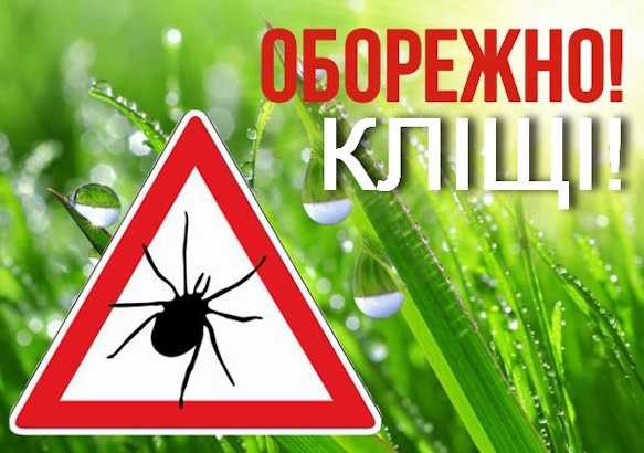 Обережно: кліщі!