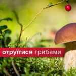 Як не отруїтися грибами?