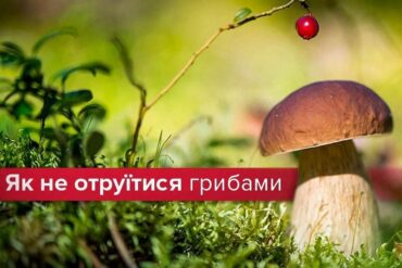 Як не отруїтися грибами?